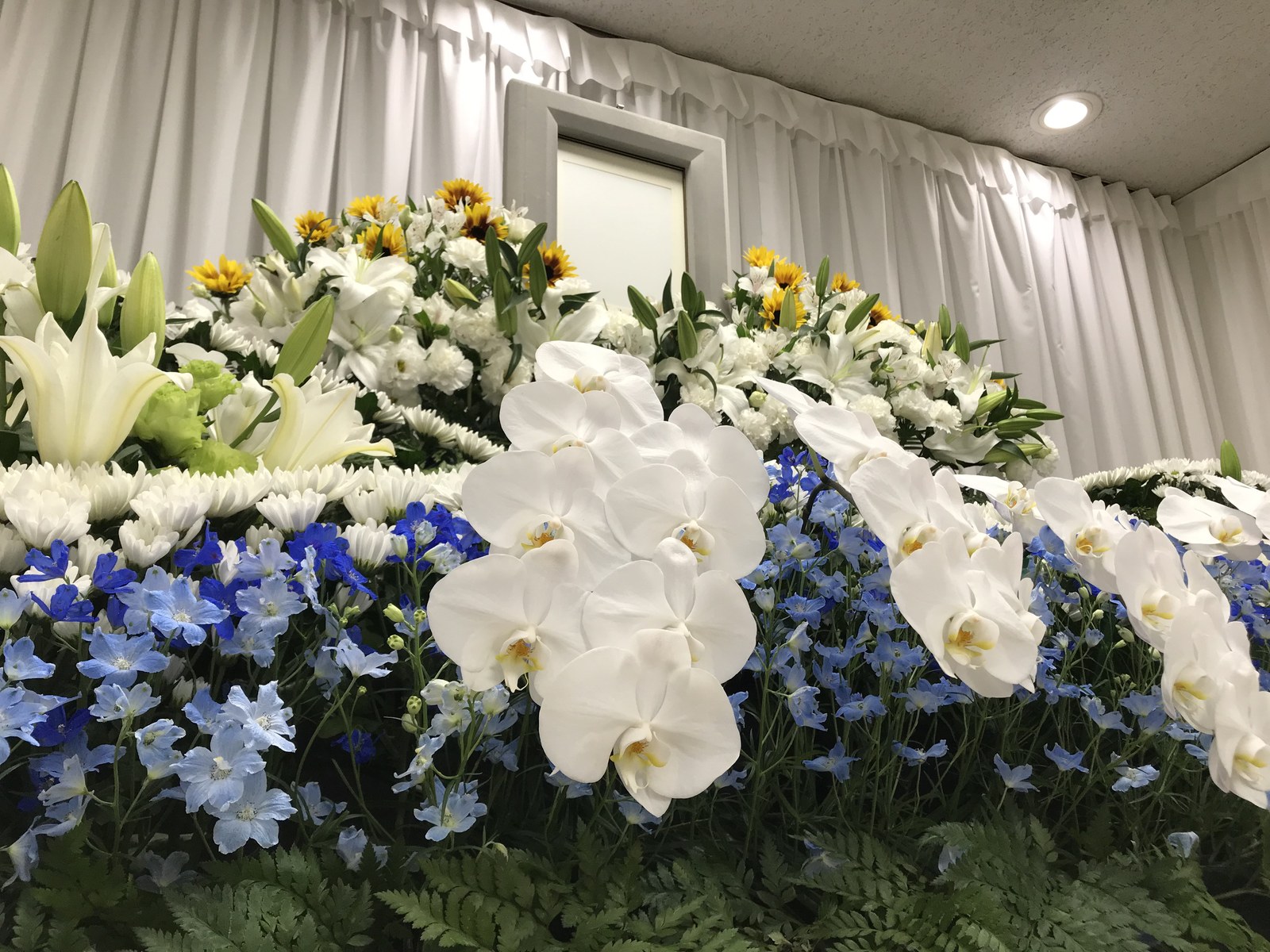 設営事例 11